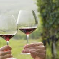 Alcohol in Moderation is Good for You White wine being poured
