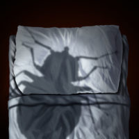 bed bug fear or bedbug worry concept as a cast shadow of a a parasitic insect pest resting on a pillow and sheets as a symbol and metaphor for the anxiety horror and danger of a bloodsucking parasite living inside your mattress.