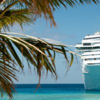 white luxury cruise ship and palm tree