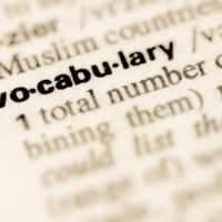 Definition of word vocabulary in dictionary